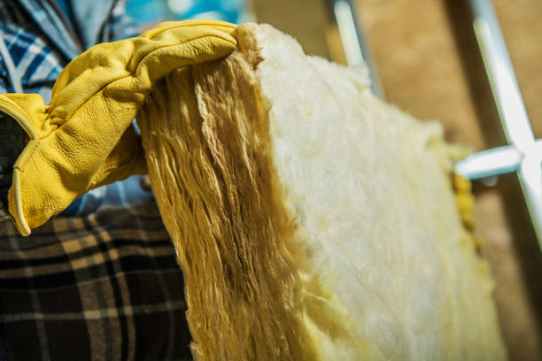 Best Insulation Maintenance and Repair in Belpre, OH