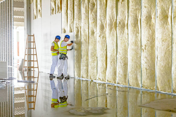 Best Residential Insulation in Belpre, OH